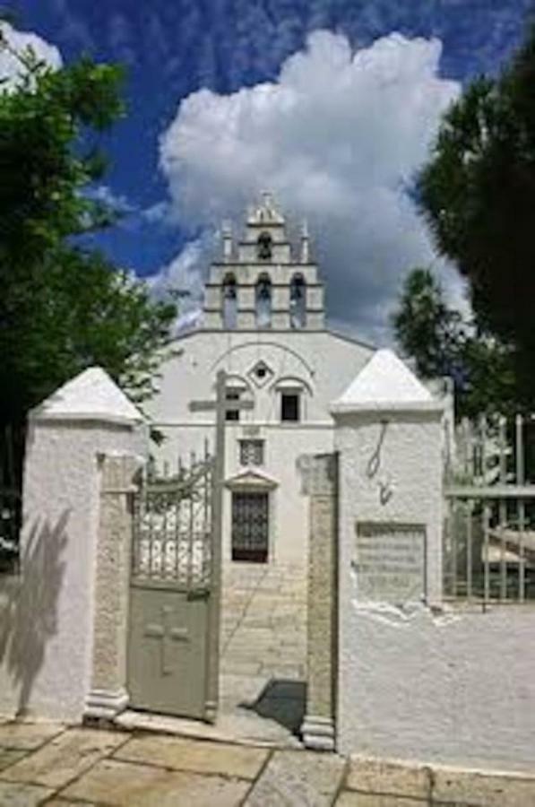 Independent Agapitos Apart , 2Bdrm, Private Patio Naxos City Bagian luar foto